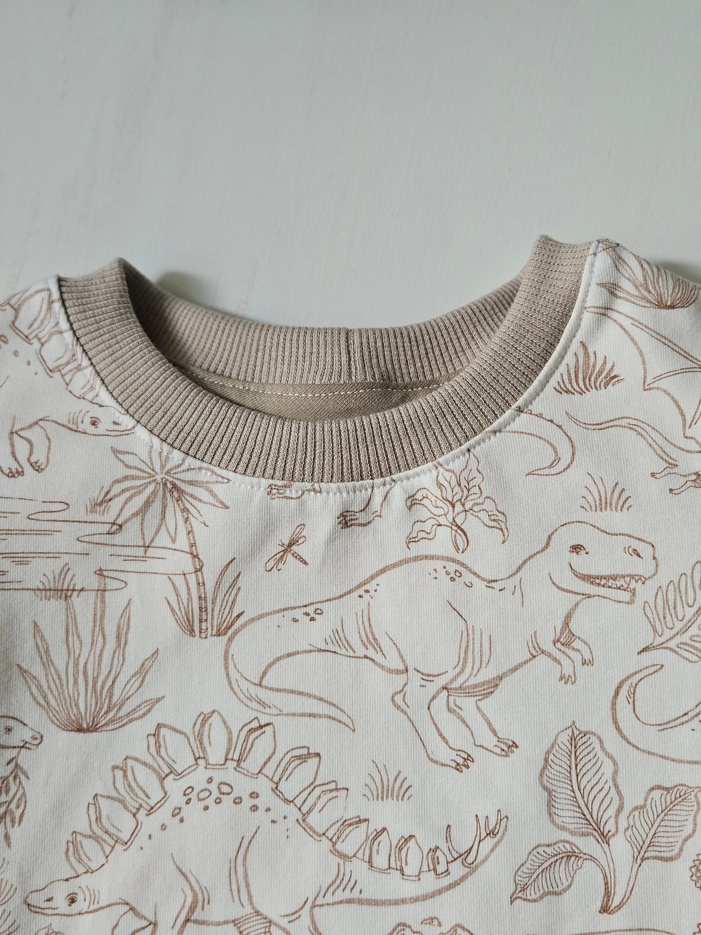 Kindershirt mit Dinosauriermotiv