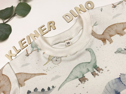 Kinderpullover mit Dinosauriermotiv