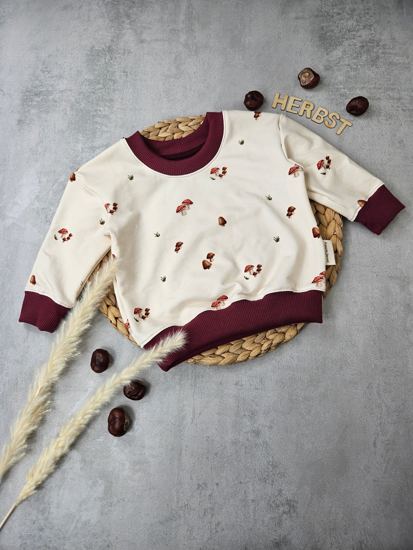 Kinderpullover mit beigem Pilzmotivstoff und dunkelroten Bündchen